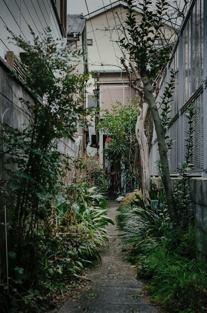 Превью Kyoto 2024